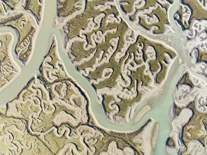 Network Of Channels And Streams Drucke: Network of channels and streams at low tide