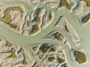 Bird Reserve Aerial Photography Drucke: Network of channels and streams at low tide
