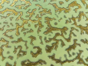 Drone Shot Cadiz Province Drucke: Network of channels and streams at low tide