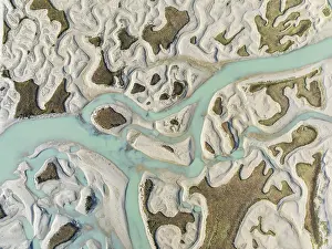 Wetland Biotope In Europe Drucke: Network of channels and streams at low tide