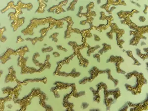 Drone Shot Cadiz Province Drucke: Network of channels and streams at low tide