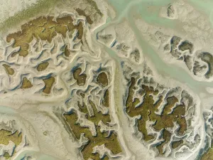 Drone Shot Cadiz Province Drucke: Network of channels and streams at low tide