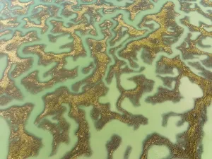 Southern Europe Nature Reserve Drucke: Network of channels and streams at low tide