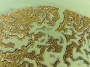 Bird Reserve Aerial Photography Drucke: Network of channels and streams at low tide