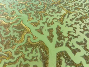 Bird Sanctuary Aerial Photography Drucke: Network of channels and streams at low tide