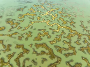 Bird Reserve Aerial Photography Drucke: Network of channels and streams at low tide