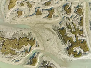 Network Of Channels And Streams Drucke: Network of channels and streams at low tide
