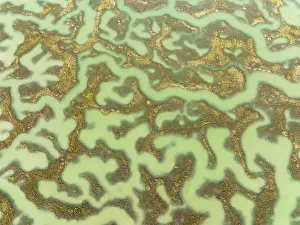 Bird Reserve Aerial Photography Drucke: Network of channels and streams at low tide