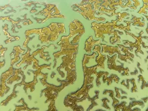 Bird Reserve Aerial Photography Drucke: Network of channels and streams at low tide
