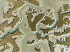 Drone Shot Cadiz Province Drucke: Network of channels and streams at low tide