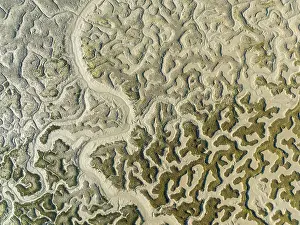 Wetland Biotope Aerial Photography Drucke: Network of dry channels and streams at low tide
