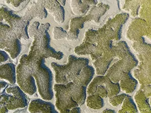 Dry Riverbed Landscape Photo Drucke: Network of dry channels and streams at low tide