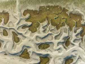 Dry Riverbed Aerial Photography Drucke: Network of dry channels and streams at low tide