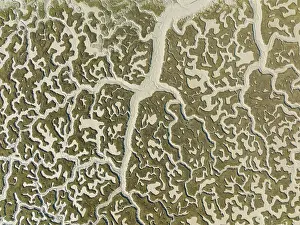 Dry Riverbed Landscape Photo Drucke: Network of dry channels and streams at low tide
