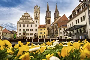 German Federal Republic Landscape Drucke: Neumarkt of Oschatz in spring 2
