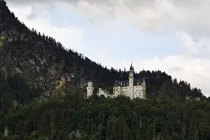 Fairytale Castle Schwangau Drucke: Neuschwanstein Castle, evening light