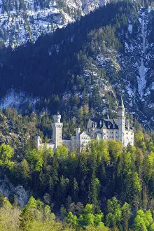 Bavaria Royal Palace Drucke: Neuschwanstein Castle in spring