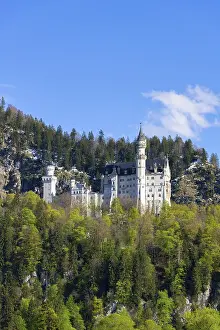 Springtime In Bavaria Drucke: Neuschwanstein Castle in spring