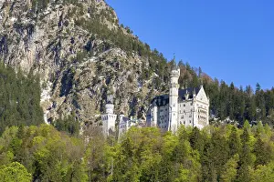 Royal Palace Europe Drucke: Neuschwanstein Castle in spring