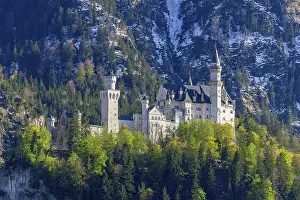 Springtime In Bavaria Drucke: Neuschwanstein Castle in spring