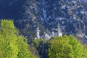 Springtime In Bavaria Drucke: Neuschwanstein Castle in spring