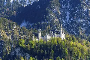 Bavaria Royal Palace Drucke: Neuschwanstein Castle in spring