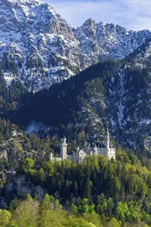 Schwangau Tourist Attraction Drucke: Neuschwanstein Castle in spring