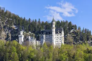 Fairytale Castle Europe Drucke: Neuschwanstein Castle in spring