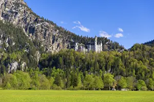 Schwangau Tourist Attraction Drucke: Neuschwanstein Castle in spring
