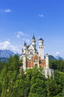 Fairytale Castle Europe Drucke: Neuschwanstein Castle in summer
