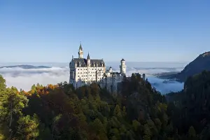 Fairytale Castle Drucke: Neuschwanstein Castle, surrounded by clouds and thick forests