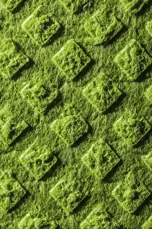 Cleanliness Supplies Drucke: New green kitchen dishcloth surface