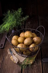 Baked Goods Drucke: New small potatoes