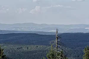Summer Mountain View Drucke: Nice summer mountain view with trees