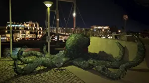 Environmental Pollution Symbol Drucke: Night view of an artificial octopus made of plastic bottles
