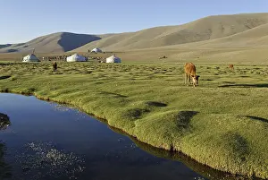 Mongolian Steppe Landscape Drucke: Nomadic yurts next to a river in the steppe