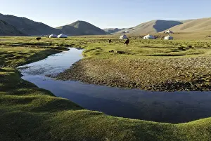 Asian Mountain Range Scenery Drucke: Nomadic yurts next to a river in the steppe