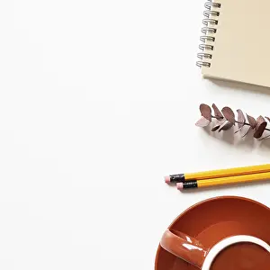 Education Background Drucke: Notebook, eucalyptus leaf, pencil