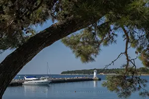 Adriatic Sea Harbor Drucke: Novigrad