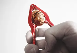 Kitchen Utensil Detail Drucke: Nut cracker