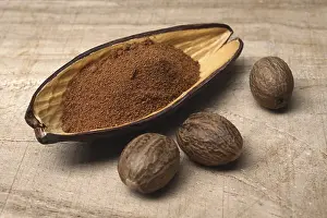Spice Photography Drucke: Nutmeg