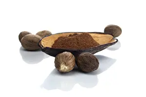 Nutmeg Spice Drucke: Nutmeg