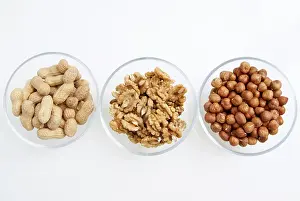 Legume Nutrition Benefits Drucke: Nuts