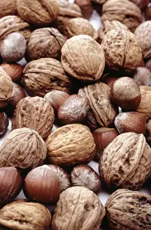 Christmas Nuts Drucke: Nuts