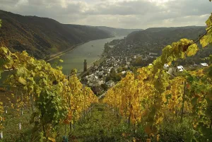 Deserted Castle In Germany Drucke: Oberwesel