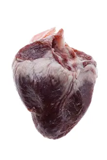 Plain Background Cutout Drucke: Object on white - raw beef heart