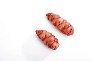 Exposed Food Still Life Drucke: Oca or Oka