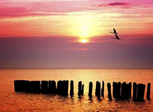 Setting Sun Over Sea Drucke: Ocean sunset