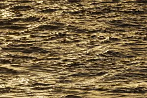 Canary Islands Nature Scene Drucke: Ocean surface in the evening light