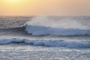 New Zealand Sunset Drucke: Ocean waves, strong surf, sunset